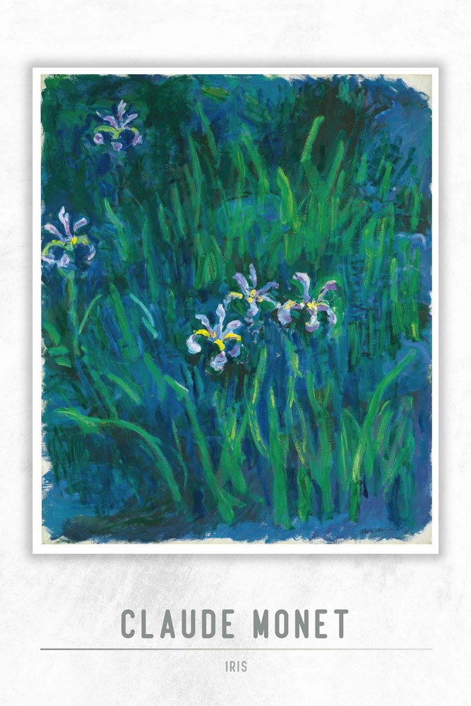 Iris by Claude Monet