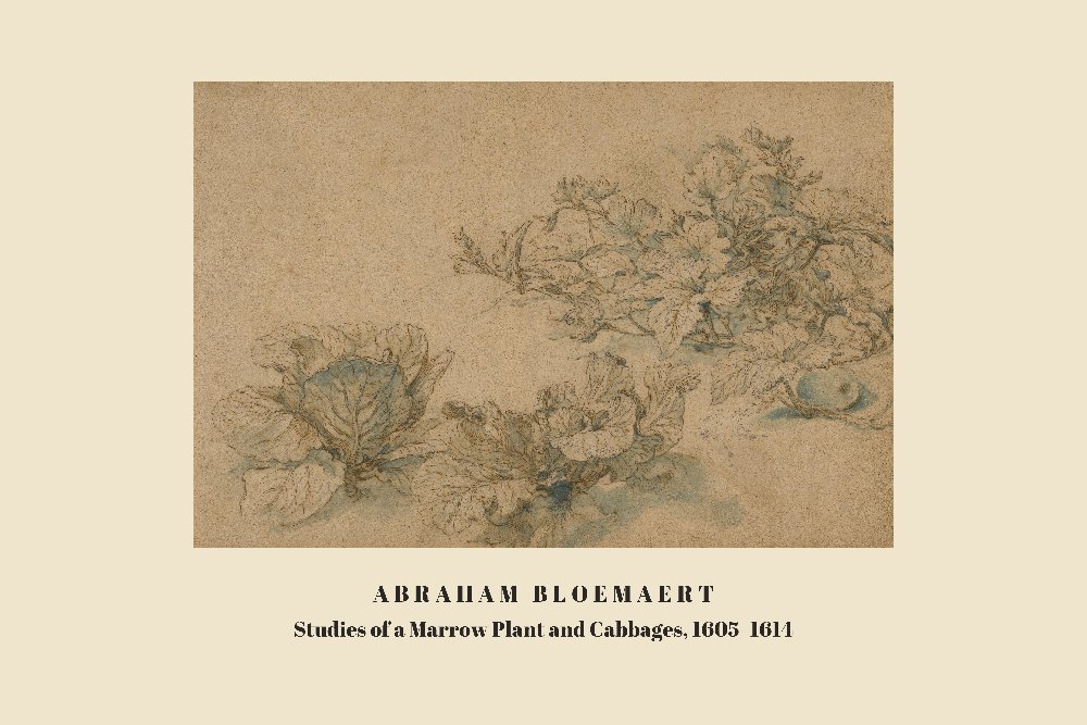 Studies of a Marrow Plant and Cabbages by Abraham Bloemaert