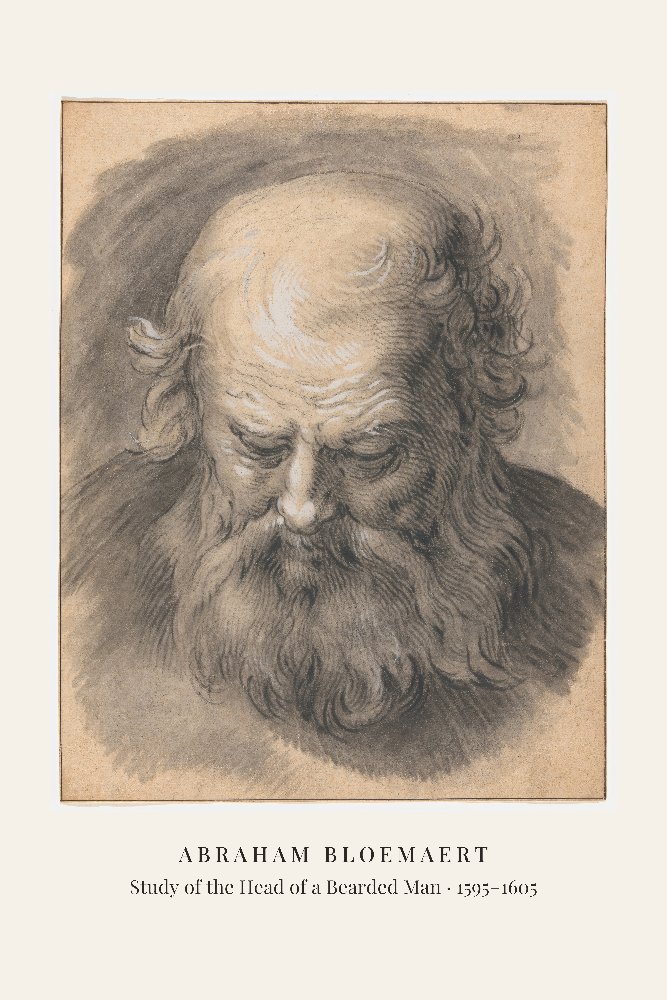 Study of the Head of a Bearded Man by Abraham Bloemaert