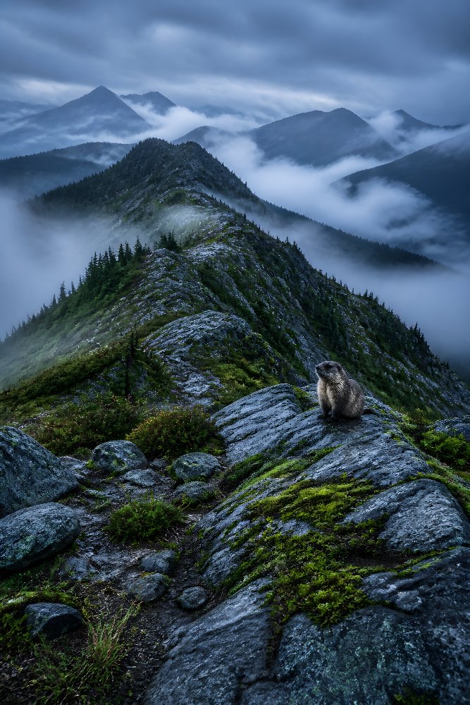 Foggy Mountain Ridge — Foggy Ridge Dawn by Fab Posters