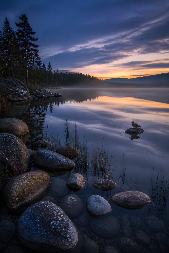 Northern Lake at Twilight — Twilight Mirror by Fab Posters