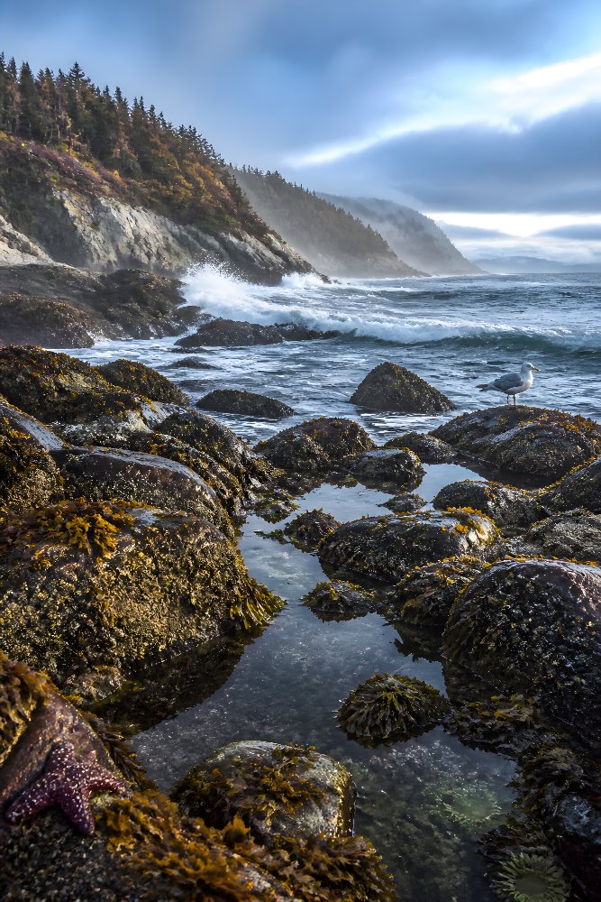 Rocky Coastline — Wind and Stone Coast by Fab Posters