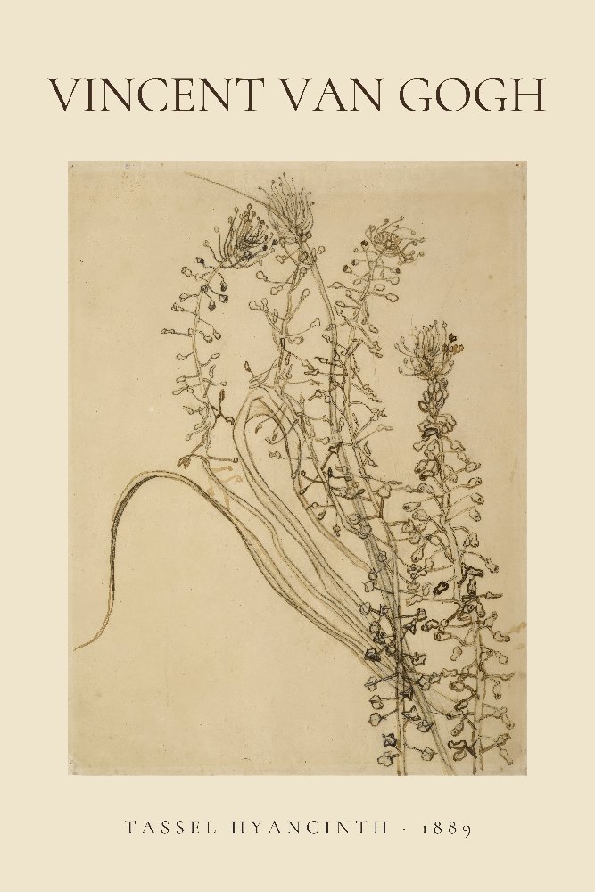 Tassel hyancinth by Vincent van Gogh